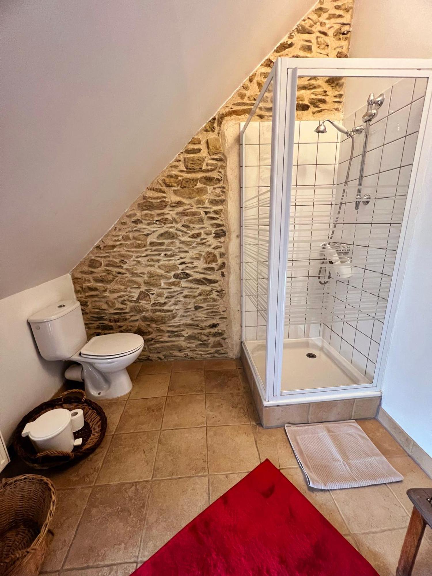 Appart' D'Hotes , Ch Et Gite Au Manoir De La Haute Pilais Chantepie Buitenkant foto