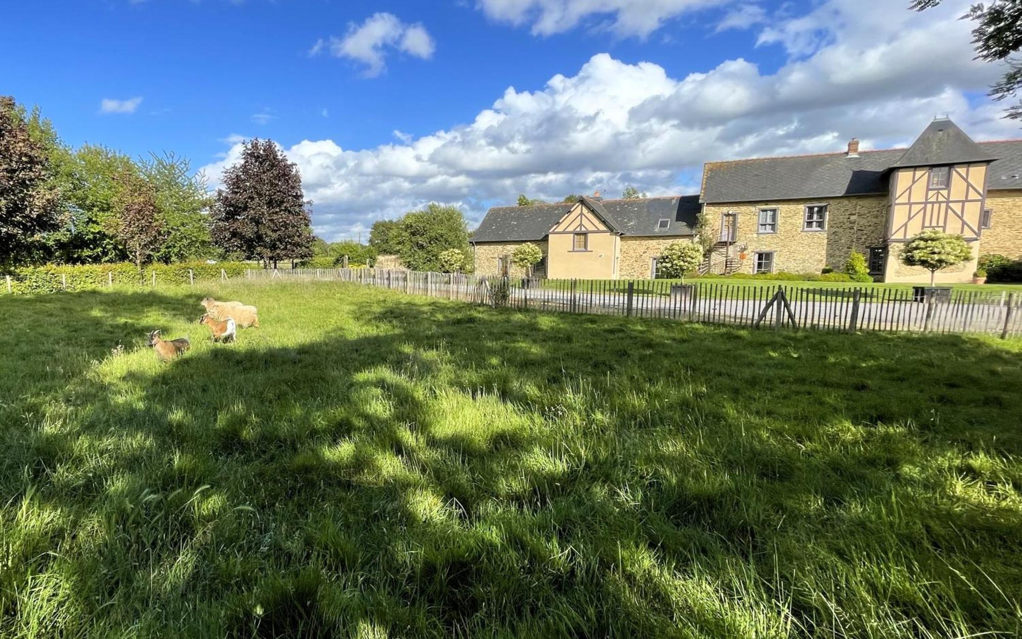 Appart' D'Hotes , Ch Et Gite Au Manoir De La Haute Pilais Chantepie Buitenkant foto